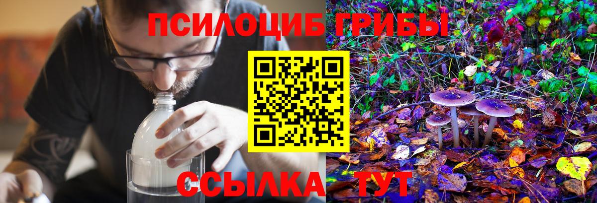 Галлюциногенные грибы MAGIC MUSHROOMS  Вход с VPN  Славгород 