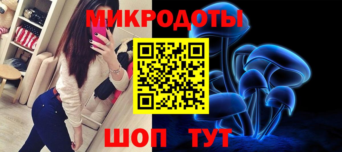 Галлюциногенные грибы Cubensis Славгород
